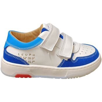 Leoph AREX A