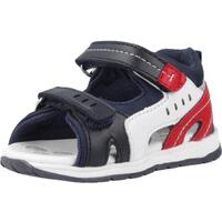 Schuhe Jungen Sandalen / Sandaletten Chicco GEDEL Blau