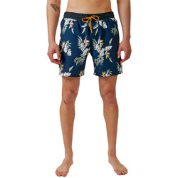Kleidung Herren Badeanzug /Badeshorts Kaporal Marty Blau