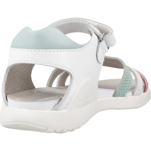 Biomecanics 242242B Weiss