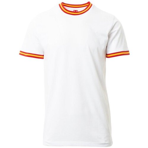 Kleidung Herren T-Shirts Payper Wear T-shirt  Flag Weiss