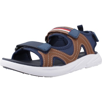 Schuhe Jungen Sandalen / Sandaletten Gioseppo ANTILLO Braun