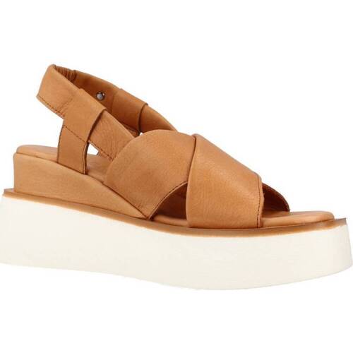Carmela 160787C Braun