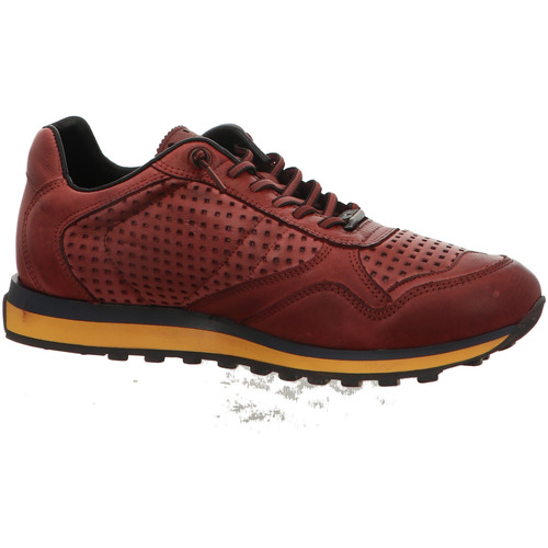 Cetti C848 NATURE TIN BURDEOS Rot