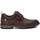 Schuhe Herren Derby-Schuhe & Richelieu Refresh 17215401 Braun