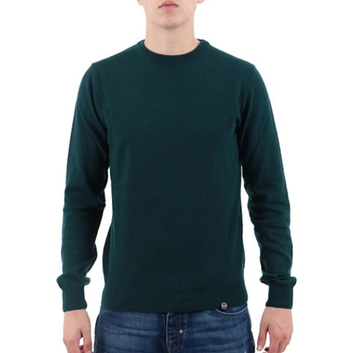 Kleidung Herren Pullover Colmar  Grün