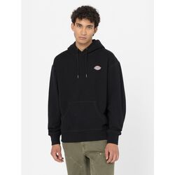 Kleidung Herren Sweatshirts Dickies MILLERSBURG HOODIE DK0A4YLY-BLK BLACK Schwarz