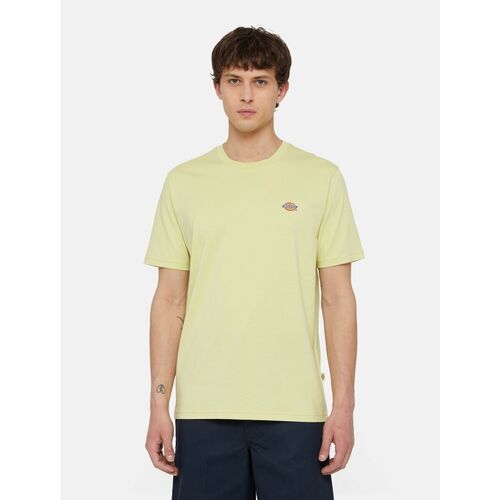 Kleidung Herren T-Shirts & Poloshirts Dickies MAPLETON TEE SS DK0A4XDB-141 PALE GREEN Grün