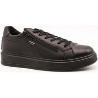 Schuhe Herren Derby-Schuhe & Richelieu Imac  Schwarz
