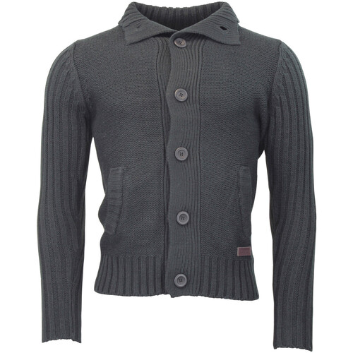 Kleidung Herren Pullover Srk Pull homme COHON Grau