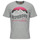 Kleidung Herren T-Shirts Superdry GREAT OUTDOORS RELAXED Grau