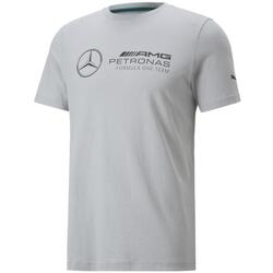 Kleidung Herren T-Shirts & Poloshirts Puma 536447-02 Grau