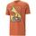 Kleidung Herren T-Shirts & Poloshirts Puma 674481-94 Orange