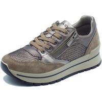 Schuhe Damen Sneaker IgI&CO 6673844 Scam. Braun