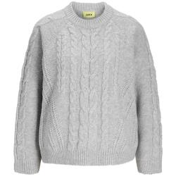 Kleidung Damen Pullover Jjxx  Grau