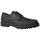 Schuhe Herren Derby-Schuhe & Richelieu Imac  Schwarz