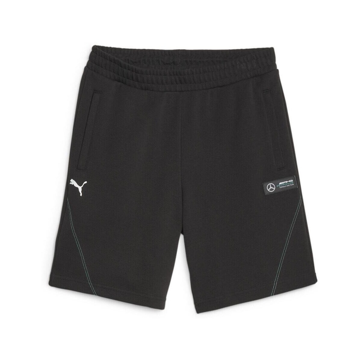 Kleidung Herren Shorts / Bermudas Puma 621152-01 Schwarz