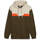 Kleidung Herren Sweatshirts Puma Sweatshirt à capuche  Power Colorblock Grün