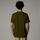 Kleidung Herren T-Shirts & Poloshirts The North Face NF0A87NG M SS SIMPLE DOME-PIB FOREST OLIVE Grün