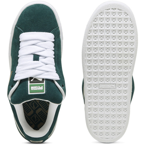 Puma  Grün
