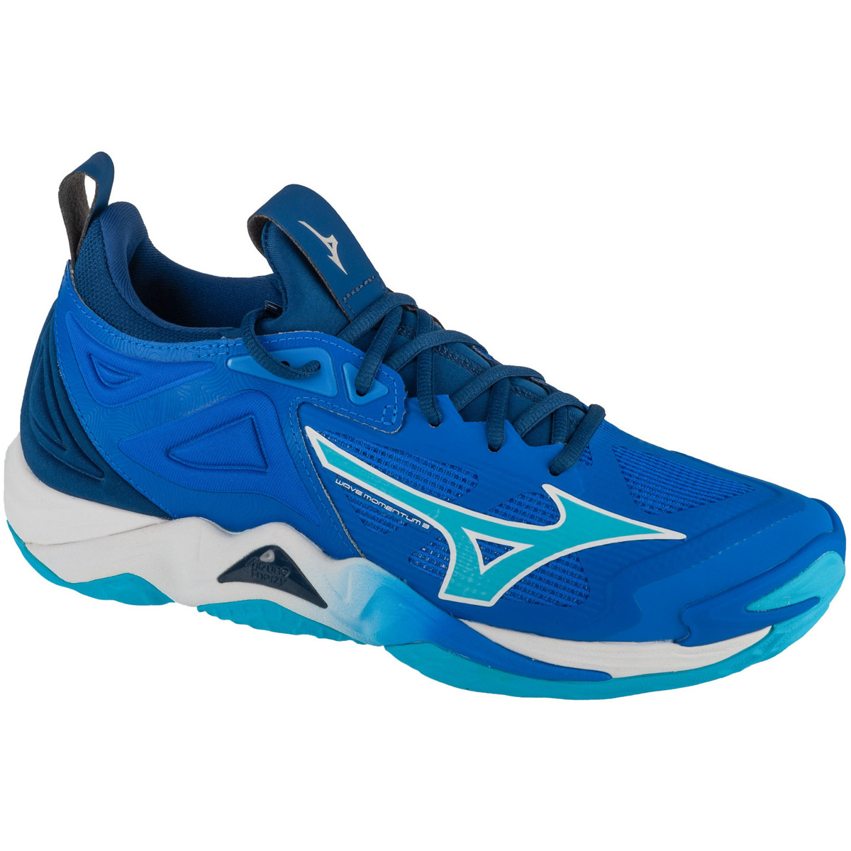 Schuhe Herren Fitness / Training Mizuno Wave Momentum 3 Blau