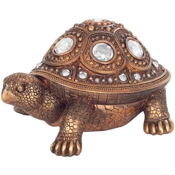 Signes Grimalt Schildkröte L