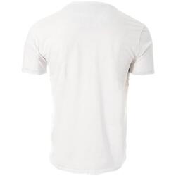 Kleidung Herren T-Shirts & Poloshirts Rms 26 RM-91145 Grün
