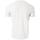 Kleidung Herren T-Shirts & Poloshirts Rms 26 RM-91145 Grün