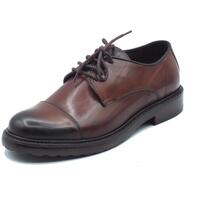 Schuhe Herren Derby-Schuhe & Richelieu Exton 9822 Soft Braun