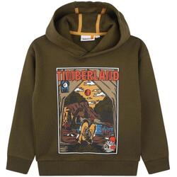 Kleidung Jungen Sweatshirts Timberland  Grün