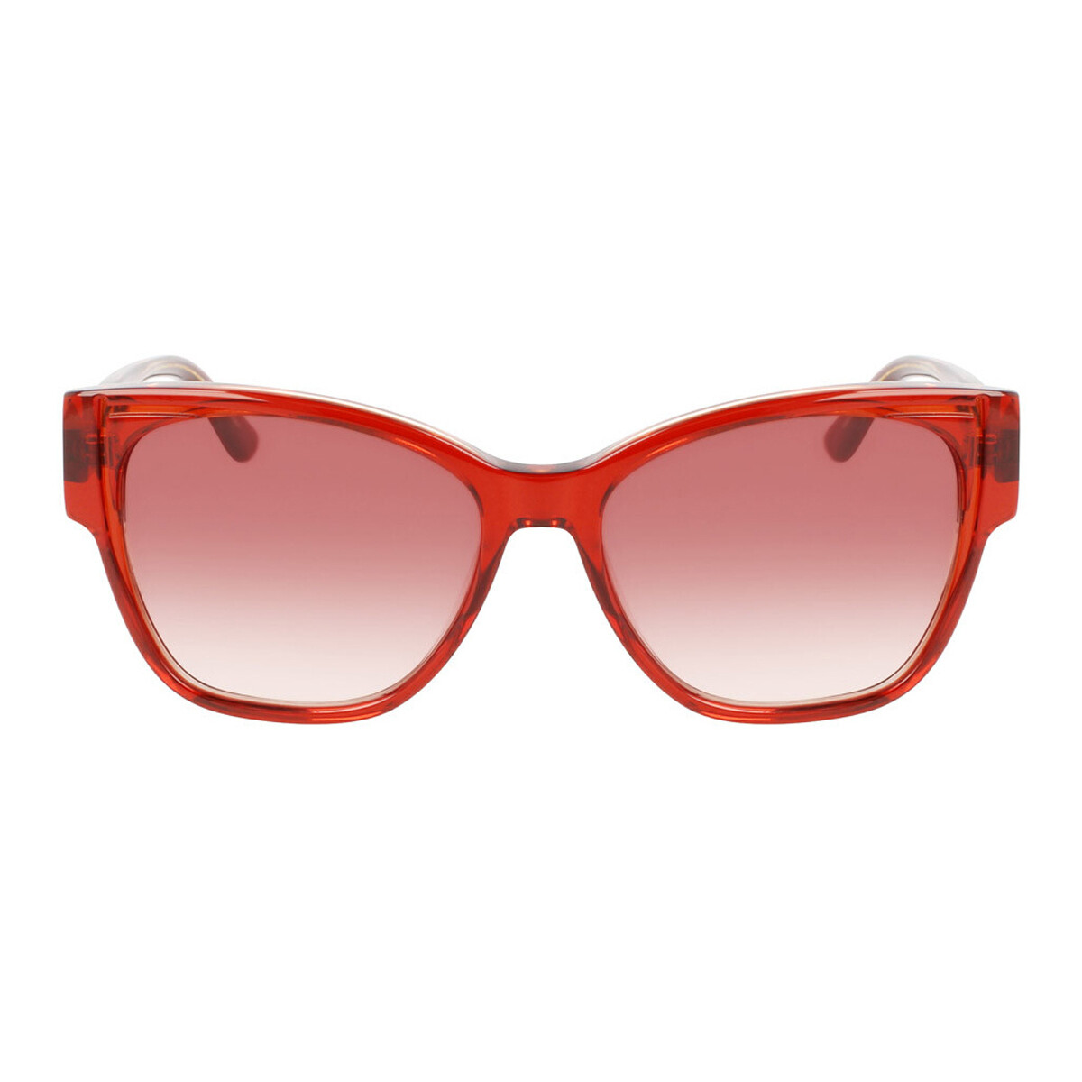 Uhren & Schmuck Damen Sonnenbrillen Karl Lagerfeld KL6069S-805 Braun