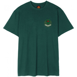 Kleidung Herren T-Shirts & Poloshirts Santa Cruz Dressen rose cross 2 Grün