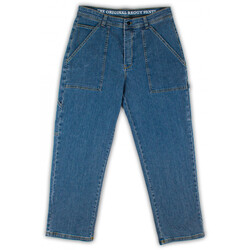 Kleidung Herren Hosen Homeboy X-tra work pants denim Blau