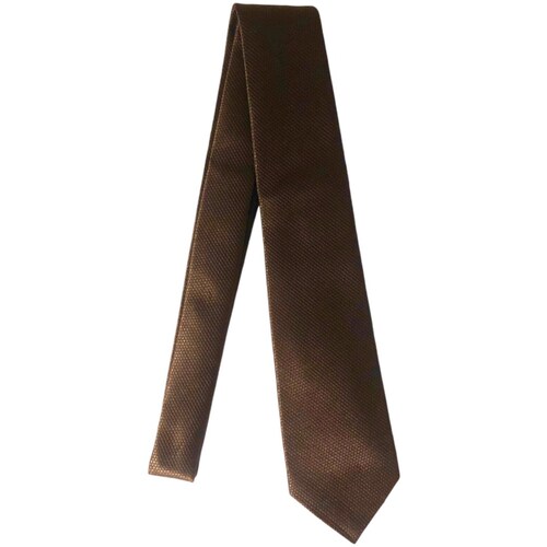 Kleidung Herren Krawatte und Accessoires Kiton UCRVKRC01L6108000 Braun