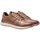 Schuhe Herren Sneaker TBS SULIZIP Braun