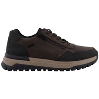 Schuhe Herren Sneaker Westland 84R0001001 Braun
