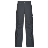 Kleidung Herren Cargo Hosen Dickies MILLERVILLE Grau