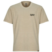 Kleidung Herren T-Shirts Dickies SERVICE STATION SS TEE Beige