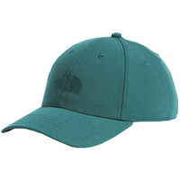 Accessoires Hüte The North Face NF0A4VSV Grün