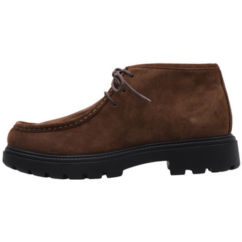 Schuhe Herren Derby-Schuhe & Richelieu Geox U SPHERICA EC7 D Braun