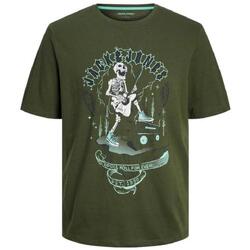 Kleidung Herren T-Shirts Jack & Jones  Grün