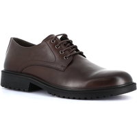 Schuhe Herren Derby-Schuhe & Richelieu Grunland DSG-SC4314 Braun