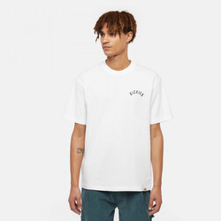 Kleidung Herren T-Shirts & Poloshirts Dickies panther tee ss Weiss