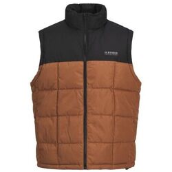 Kleidung Herren Jacken Jack & Jones 12256903 BEN BODYWARMER-MOCHA BISQUE Beige