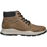 Schuhe Herren Boots IgI&CO Stiefelette Grau