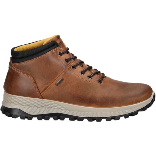 Schuhe Herren Boots IgI&CO Stiefelette Braun
