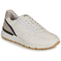 Schuhe Herren Sneaker Low NeroGiardini E500650U Weiss / Maulwurf / Marine