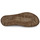 Schuhe Damen Sandalen / Sandaletten Airstep / A.S.98 RAMOS COUV Braun