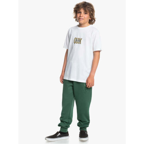 Quiksilver  Grün