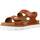 Schuhe Damen Sandalen / Sandaletten Panama Jack MOKA BLOSSB2 Braun